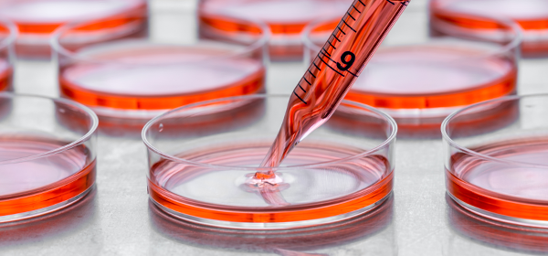 上清液イメージ